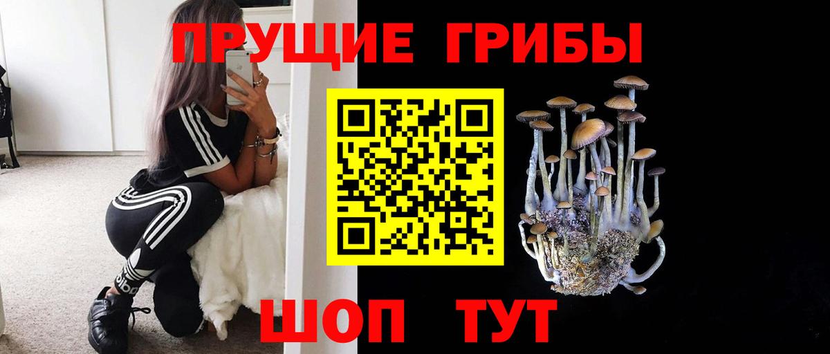 Карталы  Галлюциногенные грибы мухоморы  Вход с VPN 