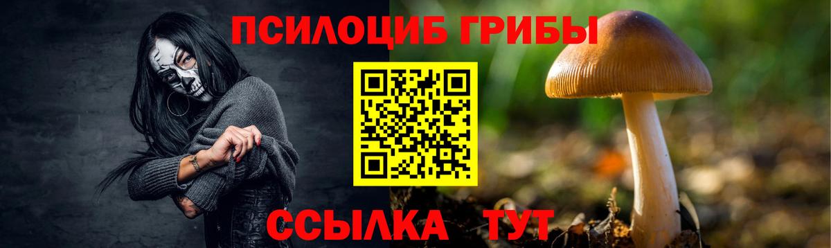 Галлюциногенные грибы Magic Shrooms Карталы